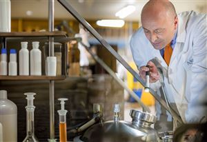 paladin_labor_ai_enhanced